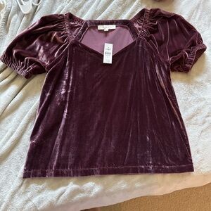 NWT Loft Velvet Top